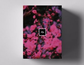 Dez Wright Blossom Loop Kit