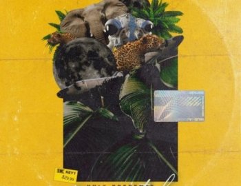 Holy Zenith Loop Kit