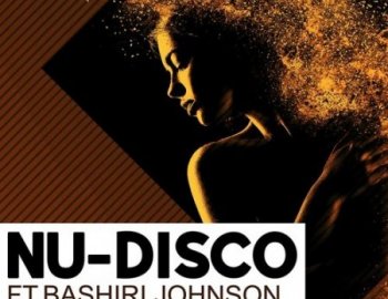 Industrial Strength Nu-Disco Ft. Bashiri Johnson