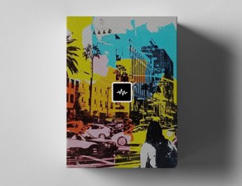 WavSupply E-Trou Hollywood Loop Kit