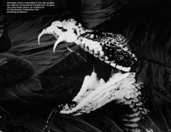 Trap Veterans Syndicate