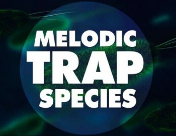 Big EDM Melodic Trap Species