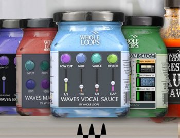 Whole Loops - Waves Sauce Bundle