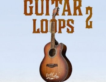 Cartel Loops - Guitar Loops Vol.2