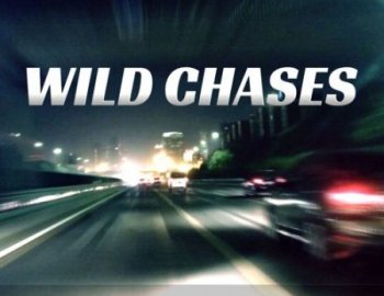 Ueberschall Wild Chases (Elastik)