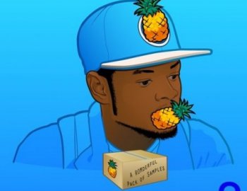 Splice Sounds A ROMderful Pack of Samples 2