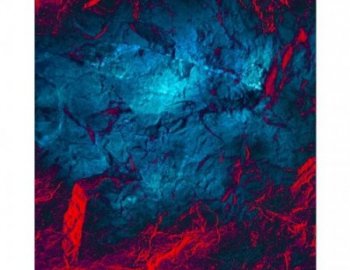 Engineering Samples RED Talking Strangers