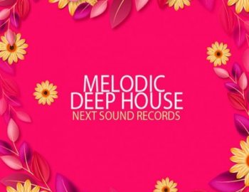 Next Sound Records Melodic Deep House