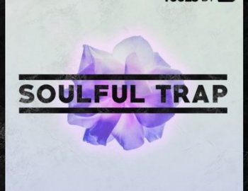 Sample Tools by Cr2 Soulful Trap