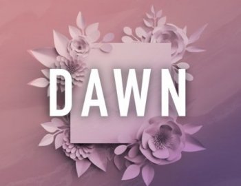 Skifonix Sounds Dawn