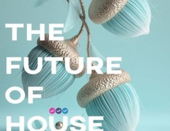 Soundsmiths The Future Of House