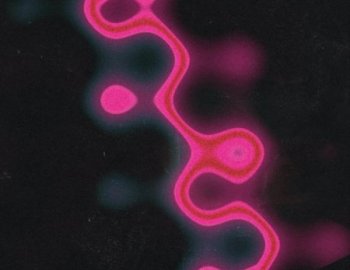 The Drum Broker Dez Wright Butterfly Effect