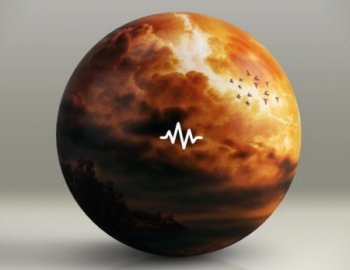 WavSupply Humblebee Storm - One Shot Kit