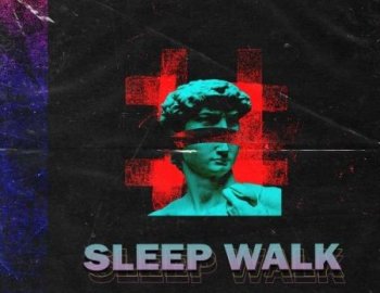 Trap Veterans Sleep Walk