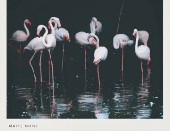 GOGOi Tropical Vibes