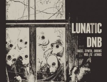 Famous Audio Lunatic DnB