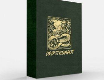 Ayy Walker Dripstronaut Drum Kit / Loop Kit