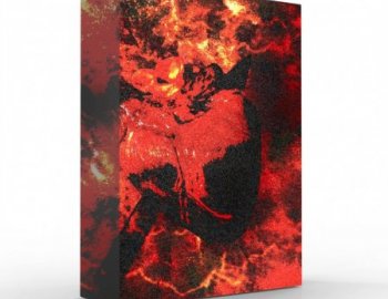 Ayy Walker The Drip Demon Drum Kit / Loop Kit