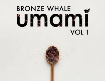 Splice Sounds Bronze Whale Umami Sample Pack