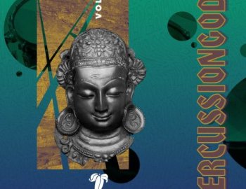 RARE Percussion - PercussionGodz Vol. 5