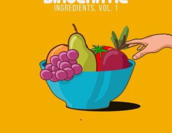 Splice Sounds - Birocratic's Ingredients Sample Pack