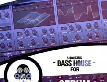Vandalism Shocking Bass House #4  for Serum