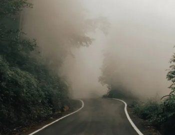 ShamanStems Roam Atmospheric Breaks