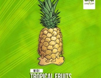 Vandalism MIDI: Tropical Fruits