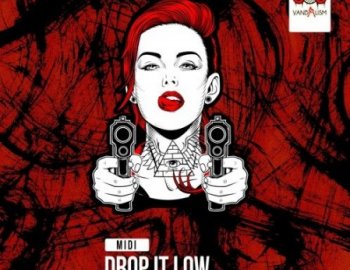 Vandalism MIDI Drop It Low