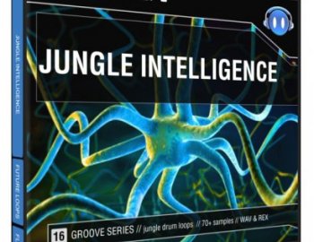 Future Loops Jungle Intelligence