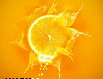 Function Loops Juicy Tech House