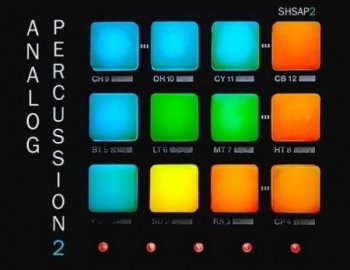 ShamanStems Analog Percussion 2
