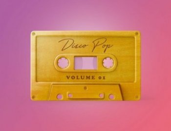 Producer Loops Disco Pop