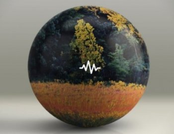 WavSupply Nash Alluring Guitar Loop Kit