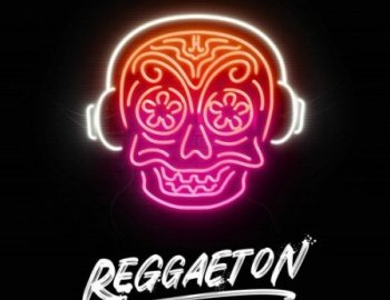 Producer Loops Reggaeton After Dark