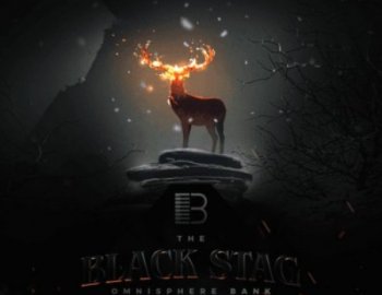 Brandon Chapa Black Stag Omnisphere Bank