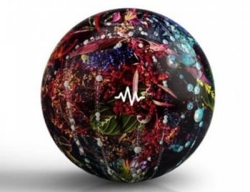 DT x Ryan Bevolo Shotcall Loop Kit