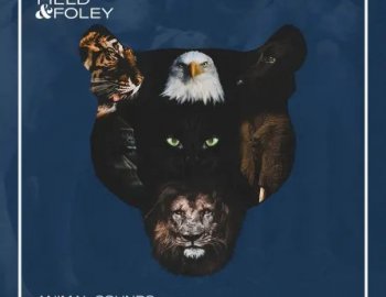 Field and Foley Animal Sounds