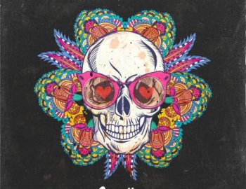 Splice Originals Criolla Latin Percussion