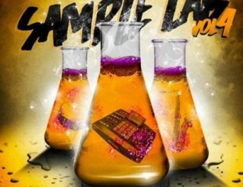 2DEEP Sample Lab Vol.4