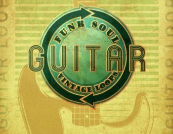 Big Fish Audio Vintage Guitar Loops