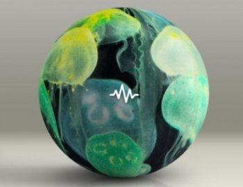 WavSupply nico baran Exotic Vol. 5 One-Shot Kit