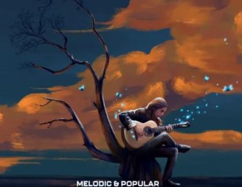 Audentity Records Melodic & Popular Guitar Vibes