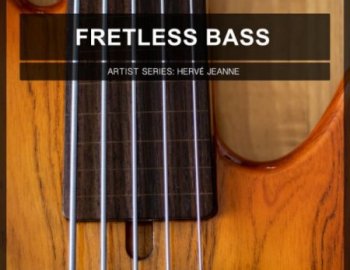 Image Sounds Fretless Bass 1