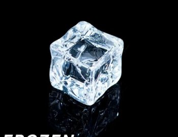 Function Loops Frozen - Trap & Hip Hop