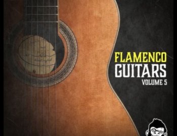 Vanilla Groove Studios Flamenco Guitars Vol 5