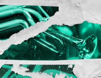 Sonic Collective NuDisco Horns