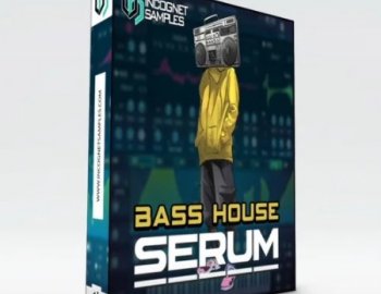 Incognet Samples Serum Bass House Presets