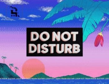 TrakTrain Do Not Disturb Guitar Loop Kit