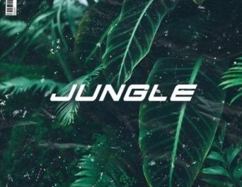 Flame Audio Jungle